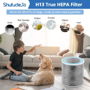 2 Pack HP102 Replacement Filter, Compatible with Shark HP102 & HP102PET & HC452 & HP132 & HC450 & HC451 & HC455, True HEPA for 99.97% of Particles, Compare Part #HE1FKPET, HE1FKBAS