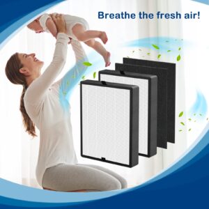 45i True HEPA Replacement Filter Compatible with BreatheSmart Flex and 45i Air Cleaner Purifier, 2 HEPA Filters with 2 Carbon Pre-Filters, B4-Pure Filter Part # B4-Fresh / FL40-Silver-Carbon, 2 Pack