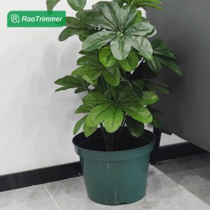 DAPERCI RooTrimmer 8 inches Nursery Pot Plant Grow Sturdy Flower pots in Bulk Price 20P