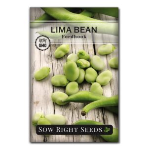 Sow Right Seeds - Fordhook Lima Bush Bean Seeds for Planting - Non-GMO Heirloom Packet with Instructions to Plant an Outdoor Home Vegetable Garden - Stringless Variety - Protein Packed Bush Bean (1)