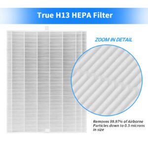 GoKBNY C545 True HEPA Replacement Filter Compatible with Winix C545 Purifier, HPEA Filter S, Part Number 1712-0096-00, 4×True HEPA Filters + 4×Activated Carbon Pre-Filters