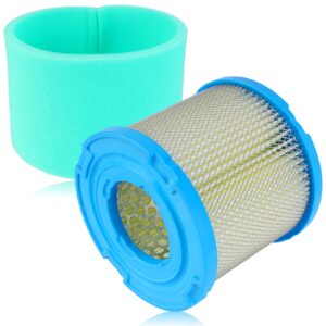 SOAJEE Filter 393957 393957S 390930 4106 Pre filter 271794 271794S Compatible with 170400 171400 190400 195400 220400 221400 222400 233400 252400 254400 290400 302400 303400 326400 7hp-18hp Engine