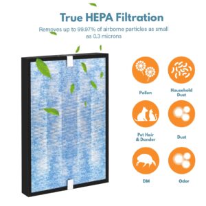 MSA3 True HEPA Filter Replacement Compatible with MSA3/MSA3S Membrane Solutions 3-in-1 Air Cleaner Purifier, 2 Pack