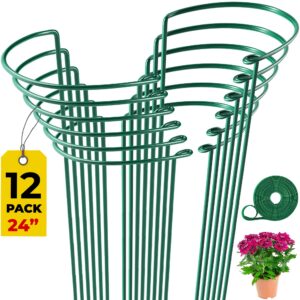 12 pack tall snake plant support stakes – 10" w x 24" h half round peony cages and supports for indoor and outdoor plants – plant cage ring support for flower - peony, tomato, hydrangea, rose bush