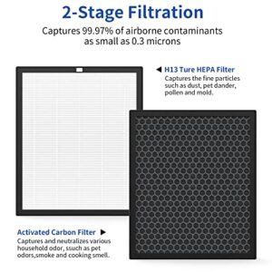 True HEPA Replacement Filter Compatible with Surround Air Intelli-Pro XJ-3800 Air Puri fier,True HEPA and Carbon Filter(2 Pack)