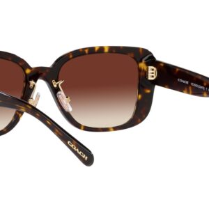 Coach HC8352 Sunglasses, Dark Tortoise/Dark Brown Gradient, 54 mm