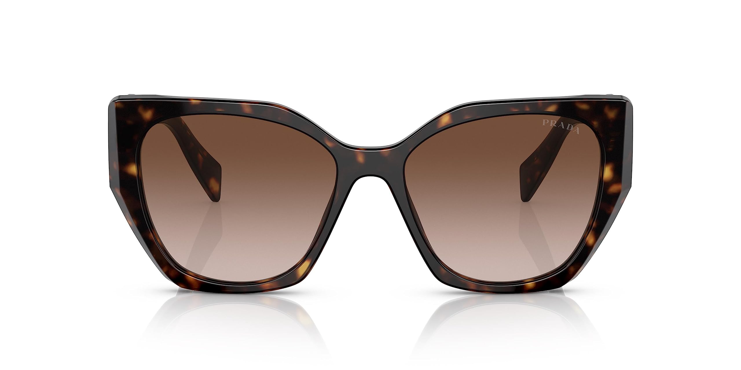 Prada PR 19ZS 2AU6S1 Tortoise Plastic Butterfly Sunglasses Brown Gradient Lens