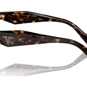 Prada PR 19ZS 2AU6S1 Tortoise Plastic Butterfly Sunglasses Brown Gradient Lens