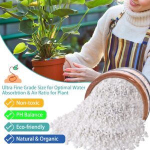 Legigo 2 Quarts Organic Horticultural Perlite for Plants Indoor- Natural Horticultural Soil Additive Conditioner Mix for Improves Drainage, Ventilation and Root Growth