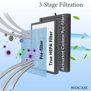 WOCASE AP1002 H13 True HEPA Replacement Filter, Compatible with AP1002 Air Purifier and Pure Morning APH230C Air Purifier, Compare to AP1002-RF, 2Pack