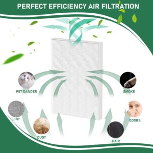 Carmerny AeraMax 300 True HEPA Filter Replacement Compatible with Fellowes AeraMax 290 300 DX95 Air Cleaner Purifier, HF-300/AP-300PH, Part# 9287201 True HEPA Only 3 Pack