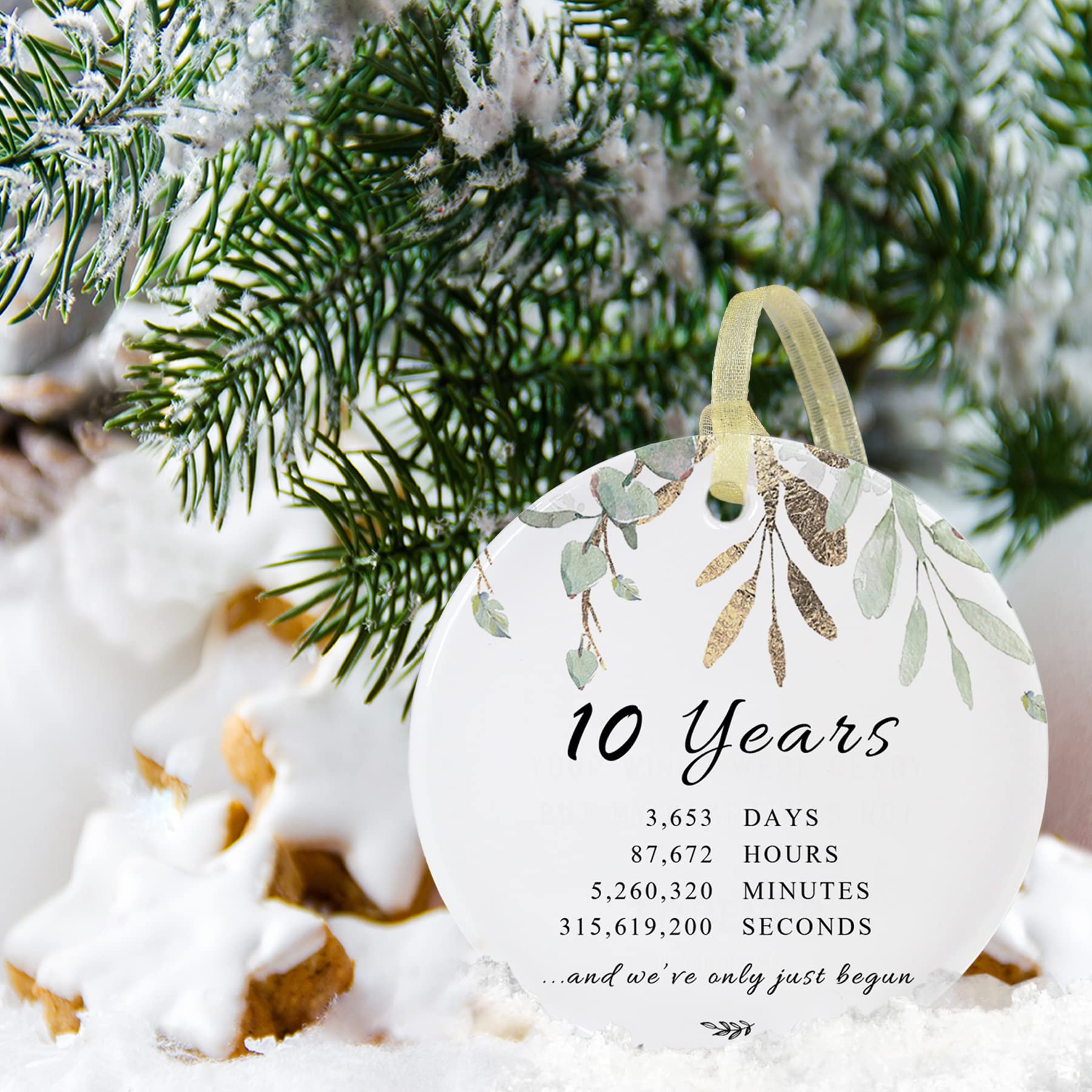 10 Years Anniversary Christmas Ornament, 10th for Couple, Ten Years Married Ceramic Ornament for Decorating Home Weddings,with Card and Gift Box (2.9") (10th-Classic Green Leaf)