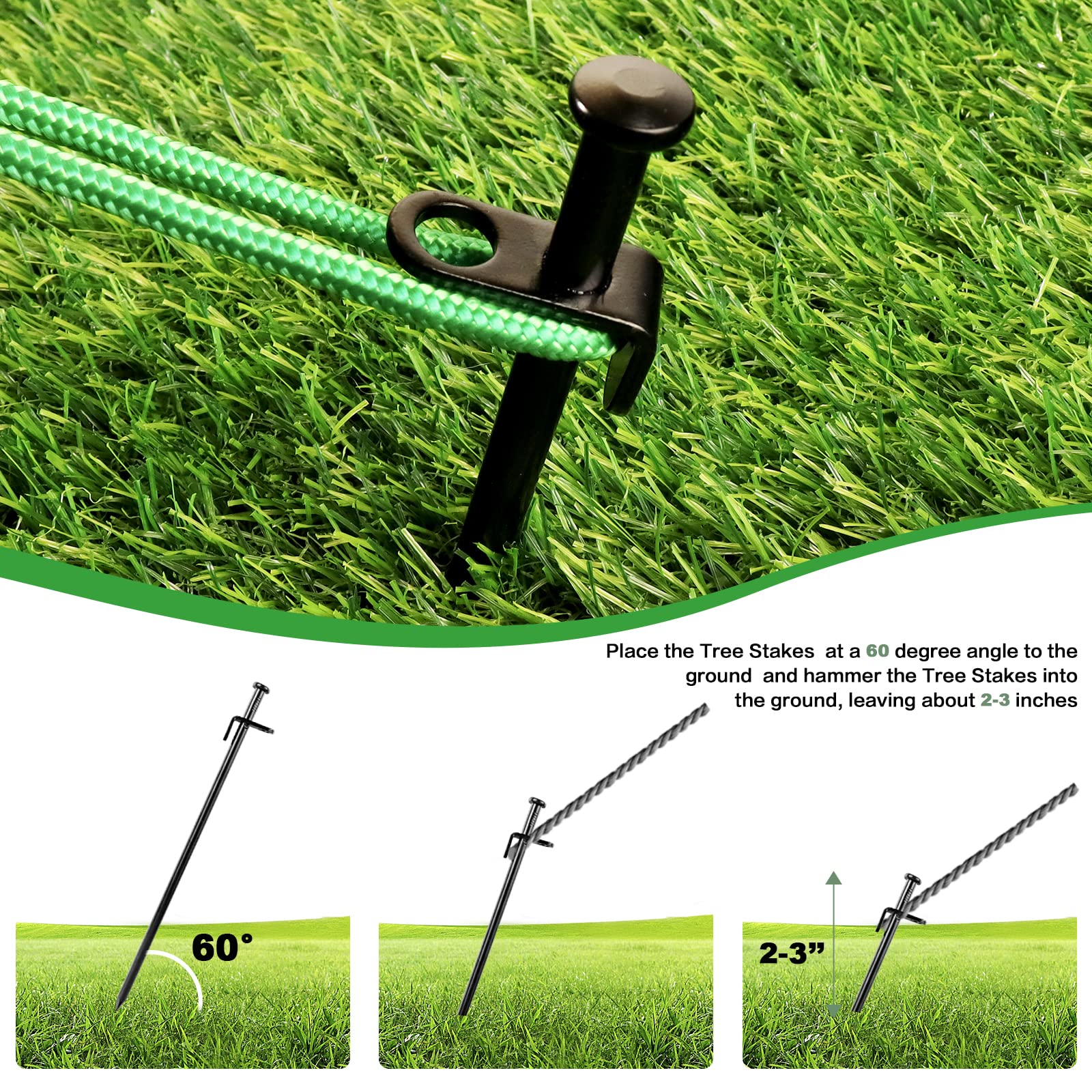 Guyuewey Heavy Duty Tree Stake Kits, Tree Stakes for Young Trees Straightening, Garden Tree Supports for Leaning Tree Outdoor, 3Pcs Tree Straps, 3Pcs Metal Stakes, 3Pcs Rope for Anchoring (1)