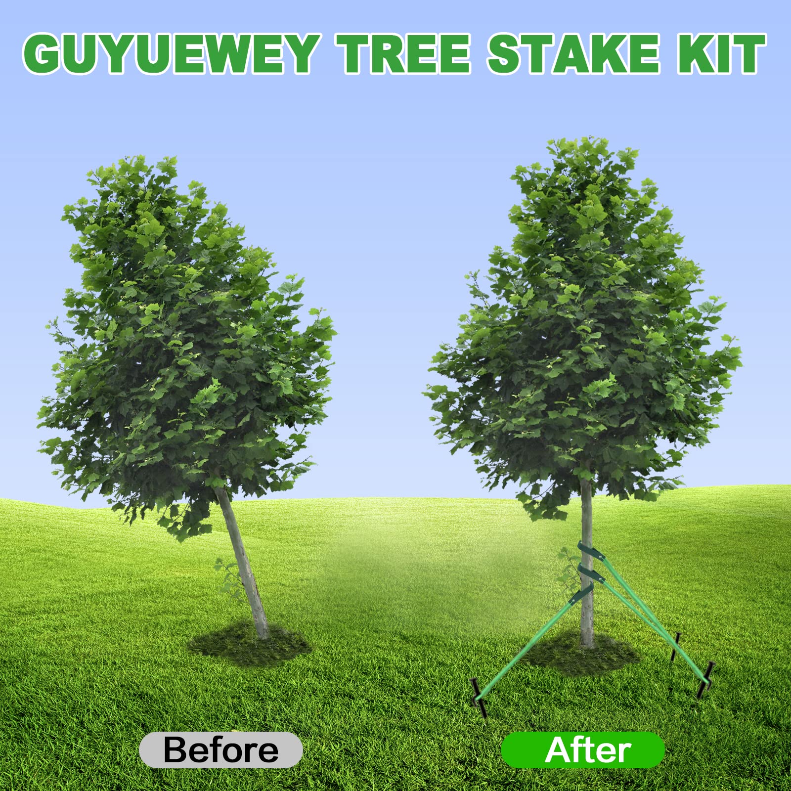 Guyuewey Heavy Duty Tree Stake Kits, Tree Stakes for Young Trees Straightening, Garden Tree Supports for Leaning Tree Outdoor, 3Pcs Tree Straps, 3Pcs Metal Stakes, 3Pcs Rope for Anchoring (1)