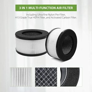 Smilyan BS-01 True HEPA Replacement Filter Compatible with Slevoo BS-01 Air Purifier, 3-in-1 BS01 Air Filter Replacement,2 PACK (NOT fit for BS-03)