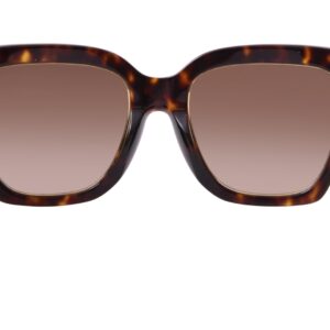 Tory Burch Sunglasses TY 7180 U 172813 Dark Tortoise