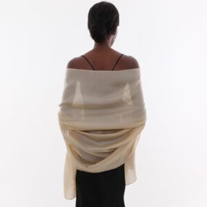 RUI VTRON Womens Beige Scarf Pashmina Shawls and Wraps for Evening Dresses Like chiffon Silk Scarf for Bridal Wedding