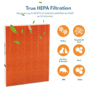 116131 True HEPA Replacement Filter I Compatible with Winix C555 Air Cleaner Purifier, H13 Grade True HEPA Filter Only, Compares to Winix 116131 Filter I (2 Pack)