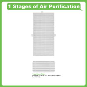 Hichoryer HRF-G Replacement Filter, Compatible with Honeywell HPA020B HPA020 & HPA030B HPA030 & HPA075/080 Series and HPA175/180 Series Air Purifier, Part Number HRF-G1/HRF-G2 2 Pack