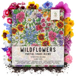 seed needs, 15,000+ partial shade wildflower seed mixture for planting (99% pure live seed butterfly attracting - no filler) annual perennial biennial - bulk