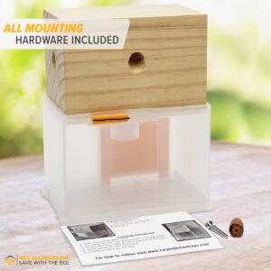 Bee Warehouse - Carpenter Bee Trap - Wood Boring Bee Trap - Unique Catch & Release Outdoor Carpenter Bee Trap - Includes Hanging Hardware & 5 Bee Dams