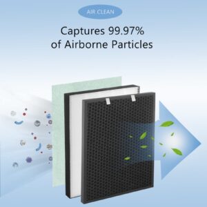 2 Set Air400 True HEPA Replacement Filter Set Compatible with Bissell Air400 Air Cleaner Purifier, 2521 True HEPA Filters and Pre-Filters, 2520 Activated Carbon Filters, Part No# 2521, 2520