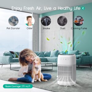 Air Purifier and Dehumidifier 2 in 1, Afloia Air Purifier Q10 Filter Replacement