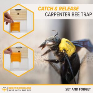 Bee Warehouse - Carpenter Bee Trap - Wood Boring Bee Trap - Unique Catch & Release Outdoor Carpenter Bee Trap - Includes Hanging Hardware & 5 Bee Dams