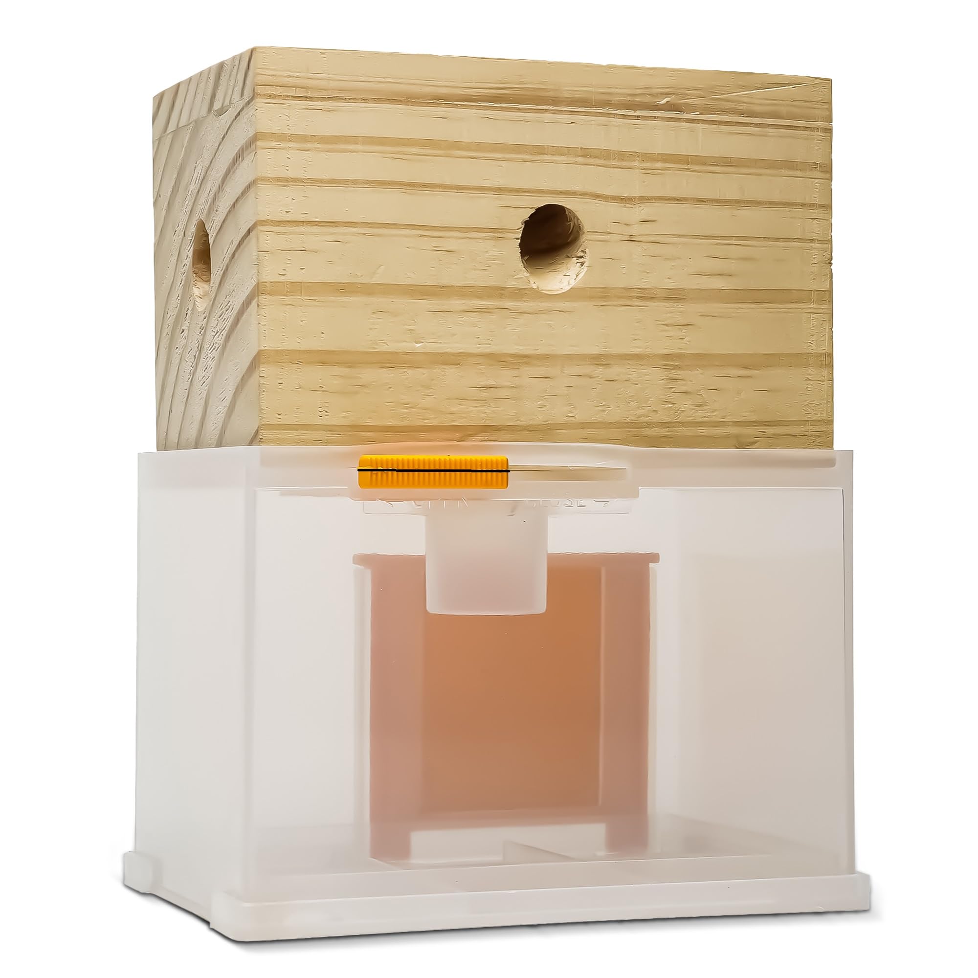 Bee Warehouse - Carpenter Bee Trap - Wood Boring Bee Trap - Unique Catch & Release Outdoor Carpenter Bee Trap - Includes Hanging Hardware & 5 Bee Dams