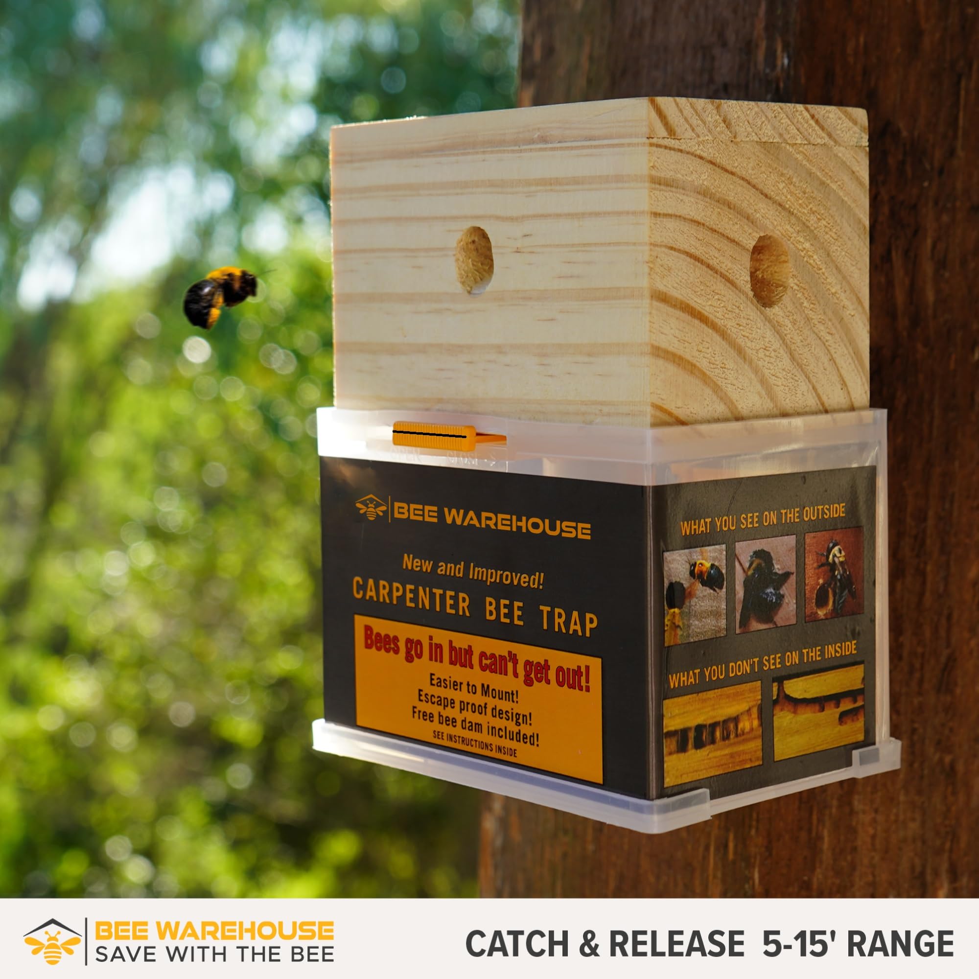 Bee Warehouse - Carpenter Bee Trap - Wood Boring Bee Trap - Unique Catch & Release Outdoor Carpenter Bee Trap - Includes Hanging Hardware & 5 Bee Dams