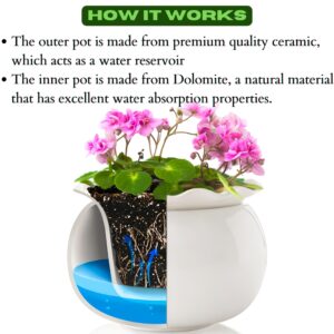 African Violet Pots 6 Inches Ceramic, Effortless Self Watering Pots for Indoor Plants for Busy Plant Lovers, Easy Plant Self Watering Pot, Plant Pots, Flower Pot, Plant pots Indoor