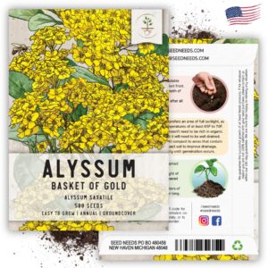 Seed Needs, Heirloom Alyssum Flower Seed Packet Collection Variety Pack (Includes 3 Packs) Basket of Gold, Royal Carpet & Carpet of Snow