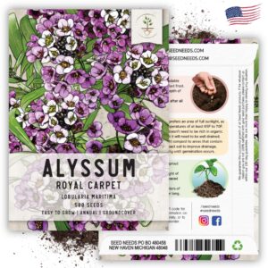 Seed Needs, Heirloom Alyssum Flower Seed Packet Collection Variety Pack (Includes 3 Packs) Basket of Gold, Royal Carpet & Carpet of Snow