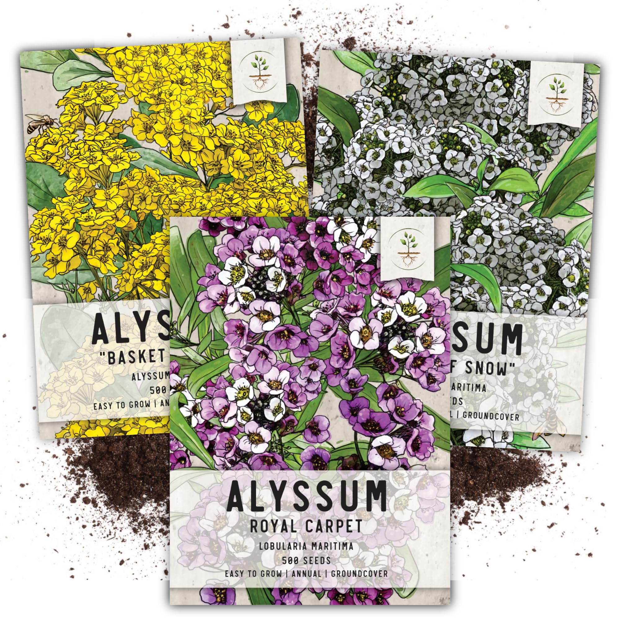 Seed Needs, Heirloom Alyssum Flower Seed Packet Collection Variety Pack (Includes 3 Packs) Basket of Gold, Royal Carpet & Carpet of Snow