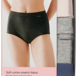 Calvin Klein Womens 3 Pack Modern Brief (as1, alpha, l, regular, regular, Nymphs/Heather Gray/Navy, Large)