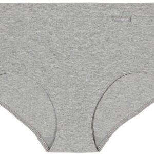 Calvin Klein Womens 3 Pack Modern Brief (as1, alpha, l, regular, regular, Nymphs/Heather Gray/Navy, Large)