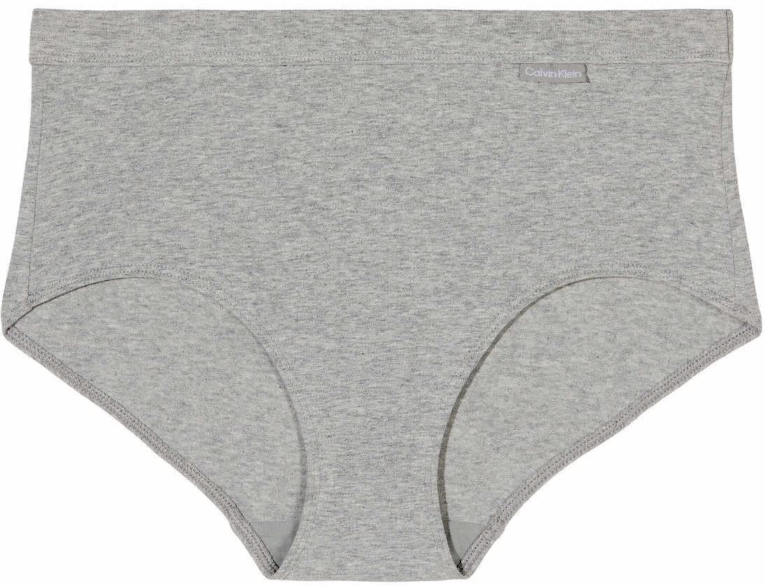 Calvin Klein Womens 3 Pack Modern Brief (as1, alpha, l, regular, regular, Nymphs/Heather Gray/Navy, Large)