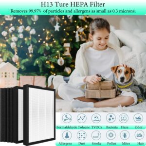 Nyingchi ProHEPA 9000 Replacement Filter,Compatible with VEVA ProHEPA 9000 Air Purifier,Including 2 True HEPA Filters &4 Activated Carbon Filters