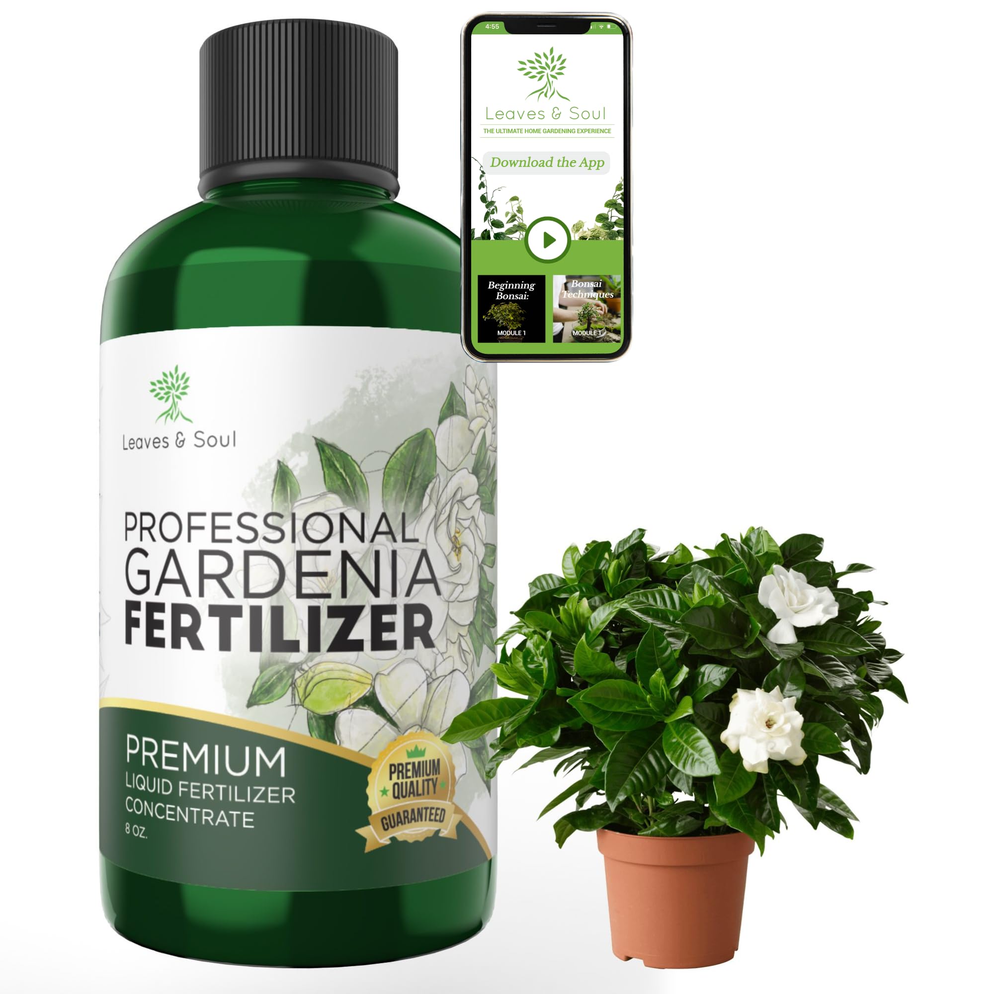 Professional Liquid Gardenia Plant Fertilizer | 3-1-2 Concentrate for Flowering Plants | Multi-Purpose Blend & Gardening Supplies | 8 oz Bottle