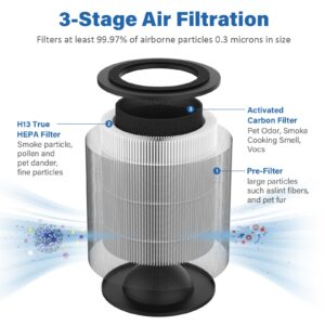 JF100 Replacement Filter, 3-in-1 H13 True HEPA and High-Efficiency Activated Carbon Filter, 2-Pack