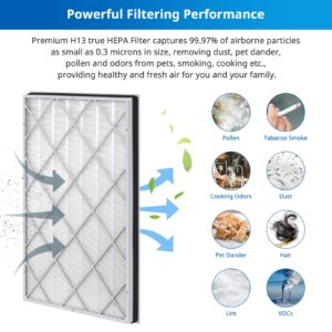 HE601 HEPA Replacement Filter Compatible with Shark Air Purifier 6-Fan Models HE601& HE602, H13 True Premium HEPA Filter, Compare to Part # HE6FKPET, HE6FKBAS, HE6FKPRO, 2 Pack