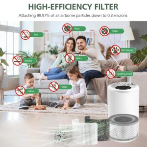 2 Pack Vista 200 Replacement Filter Compatible with LEVOIT Vista 200 Air Purifier, 3-in-1 H13 True HEPA Filter Replacement, Fit Part No.Vista 200-RF