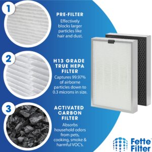 Fette Filter - True Hepa H13 Replacement Filter Compatiable with Medify MA-125 Air Purifier MA-125R, with 3 in 1 High-Efficiency Filter Compare to Part # 125-R (2QTY)