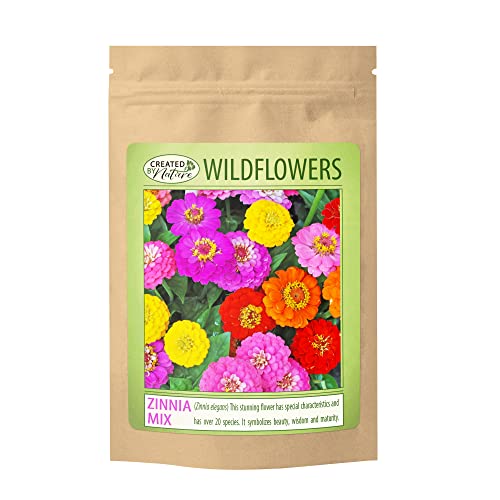 Zinnia Flower Seeds for Planting - Over 2,200 Premium Seeds - Attracts Pollinators - Non GMO