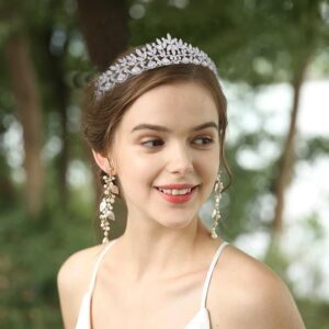 Aoligrace Silver Cubic Zirconia Small Wedding Crowns for Bride CZ Birthday Party Floral Tiaras Sweet 16 Prom Hair Accessories