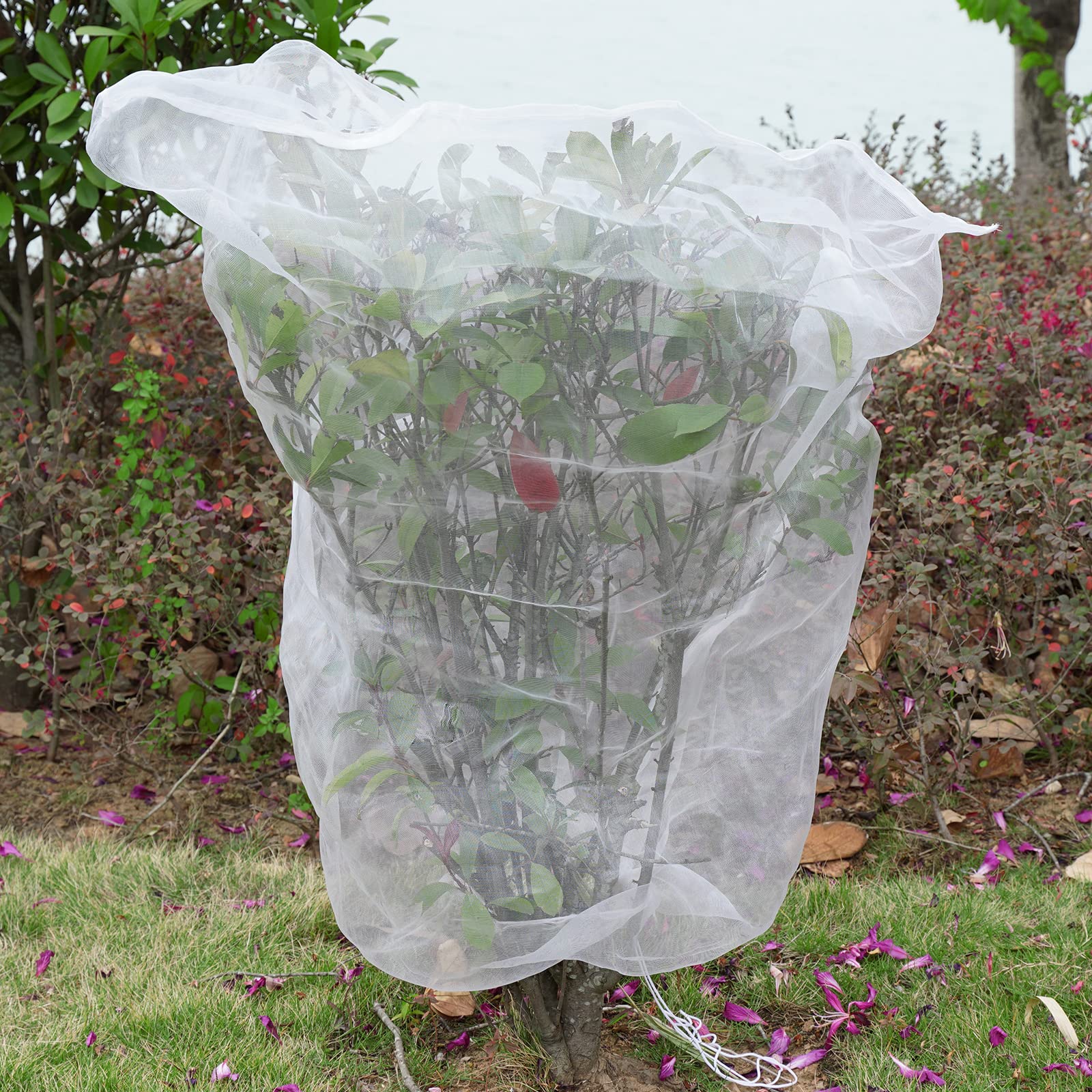 Bird Netting For Blueberry Bushes-3pcs 3.2 X 4.9 Ft,Strawberry Plant Protector,Cicada Netting For Young Trees,Blueberry Bush Netting,Plant Covers From Insects,Plant Netting For Bugs,Fruit Tree Netting