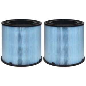 Asheviller AP1001 Filter Replacement, Compatible with AP1001 Air Purifier, Part Number AP1001-RF, 5-Layer Purification System, 2 Pack