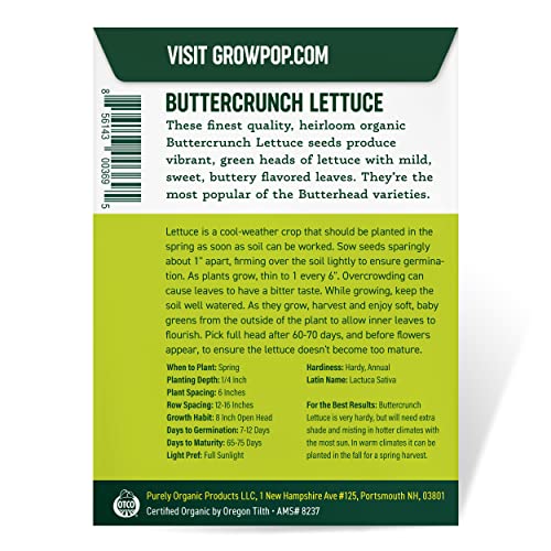 Organic Lettuce Seeds (Heirloom Buttercrunch) - Approx 1500 Seeds - Certified Organic, Non-GMO, Open Pollinated, Heirloom, USA Origin