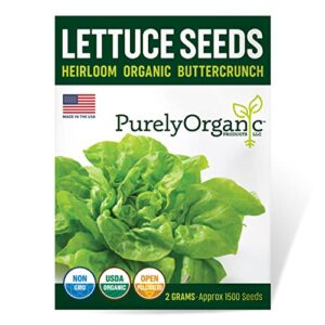 organic lettuce seeds (heirloom buttercrunch) - approx 1500 seeds - certified organic, non-gmo, open pollinated, heirloom, usa origin