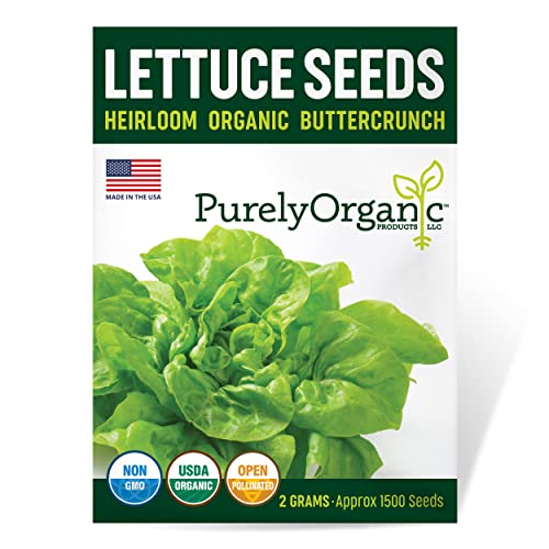 Organic Lettuce Seeds (Heirloom Buttercrunch) - Approx 1500 Seeds - Certified Organic, Non-GMO, Open Pollinated, Heirloom, USA Origin